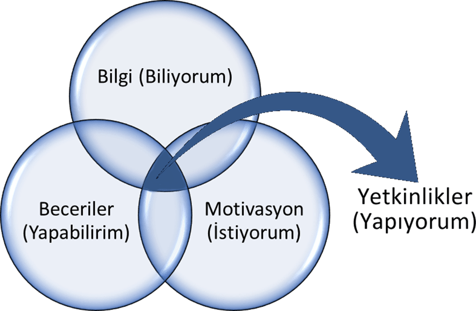 Yetkinlik Gelişim Birleşenleri